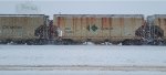 CEFX 302953